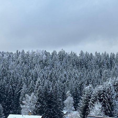 Penzion Verde Rosa Гаррахов Экстерьер фото